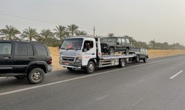 ونش إنقاذ شربين  01008442548